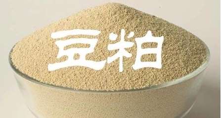 9月9日豆油期货持仓龙虎榜分析：空方呈进场态势