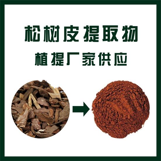 2024年9月10日今日松树皮价格最新行情消息