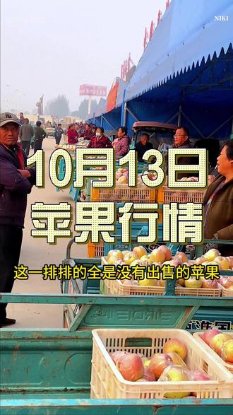 （2024年9月13日）今日苹果期货最新价格查询