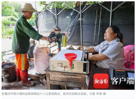 橡胶期货9月12日主力小幅上涨1.61% 收报17045.0元