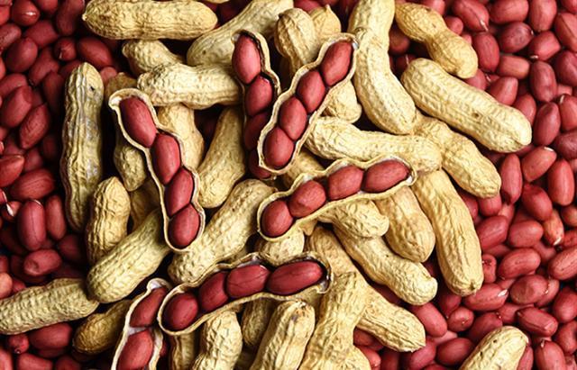 花生新季上市区域逐步增多 季节性供应压力来袭