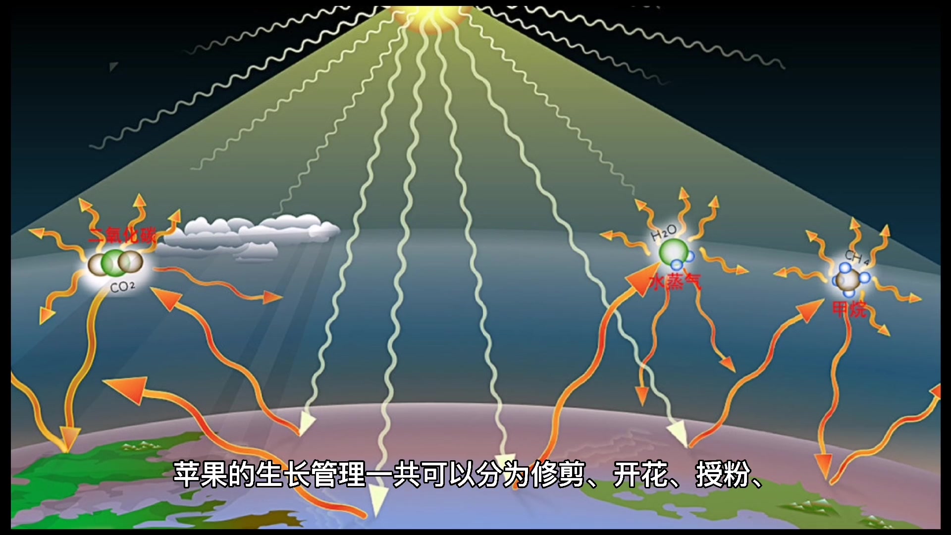9月18日苹果期货持仓龙虎榜分析：多方进场情绪强于空方