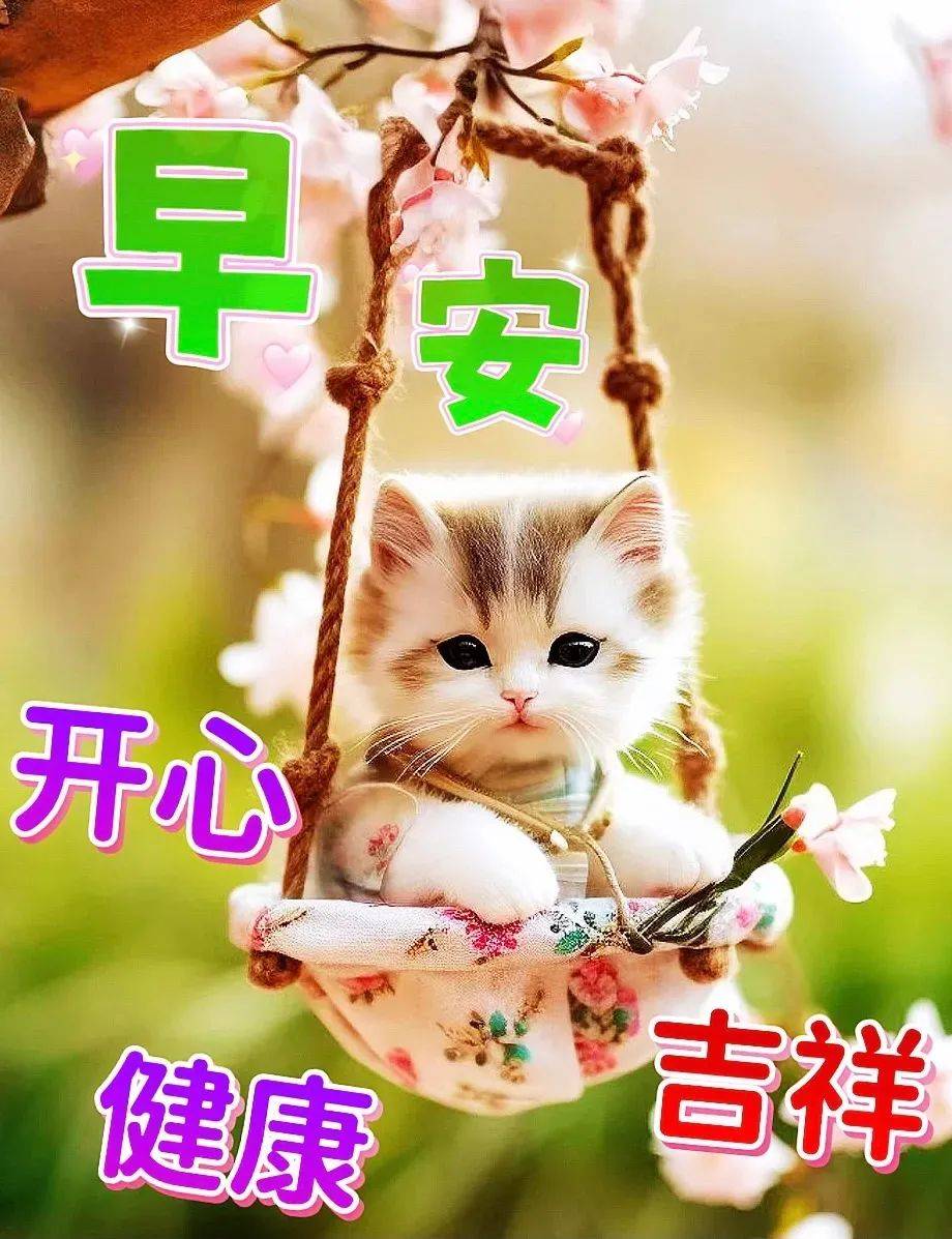 2024年9月18日果壳活性炭报价最新价格多少钱