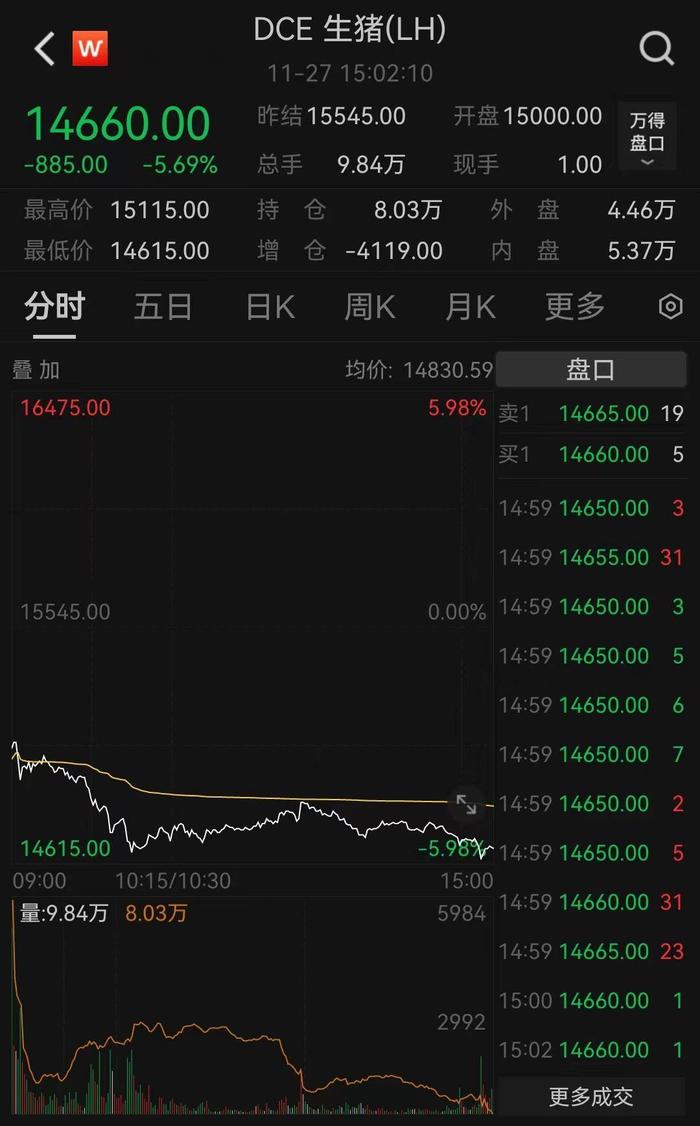 （2024年9月19日）今日生猪期货最新价格查询