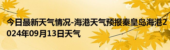 2024年9月19日今日现货棉花价格最新报价多少钱一吨