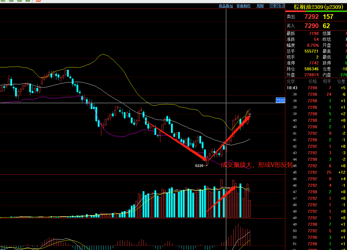 9月19日收盘菜籽油期货持仓较上日减持1091手