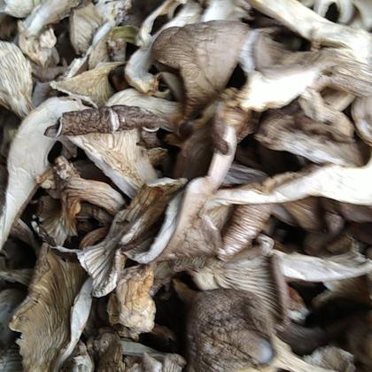 2024年9月19日防水蜂窝活性炭价格行情最新价格查询