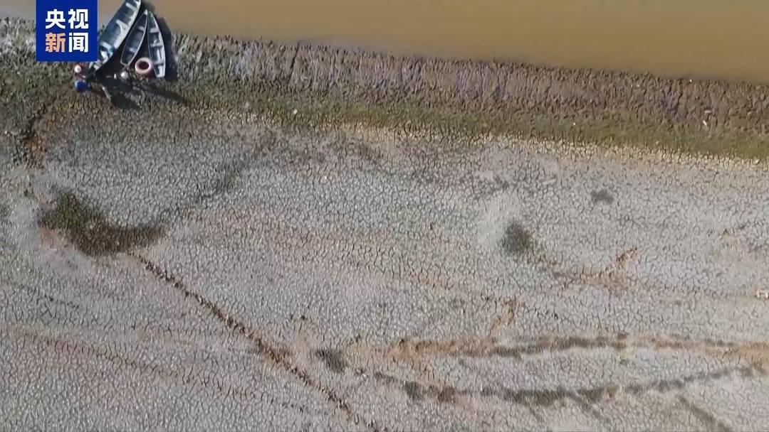 国内豆粕库存高企 巴西旱情出现缓解迹象