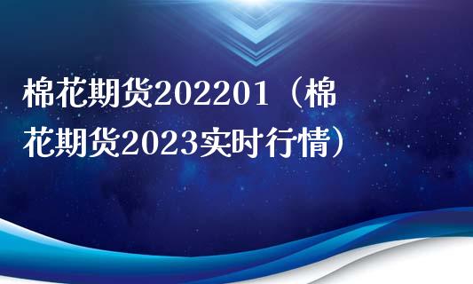 9月23日收盘棉花期货持仓较上日减持980手
