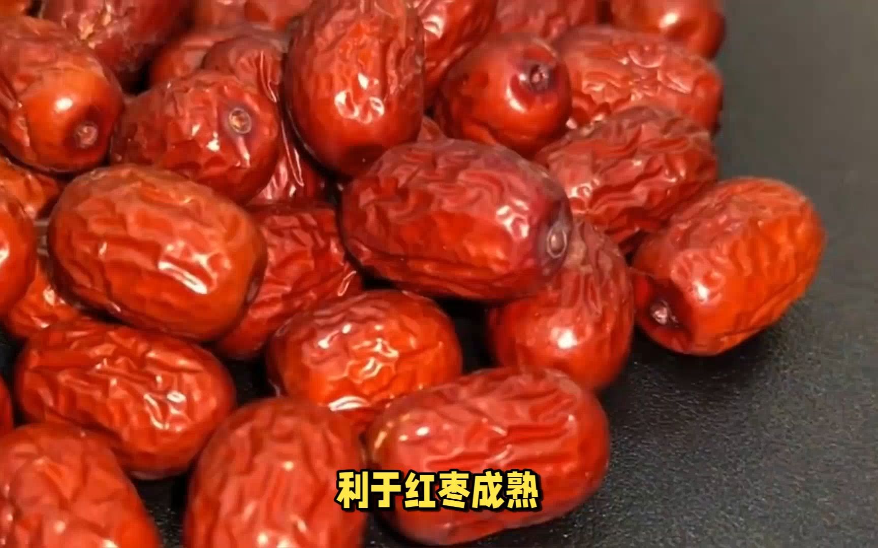 （2024年9月24日）今日红枣期货价格行情查询