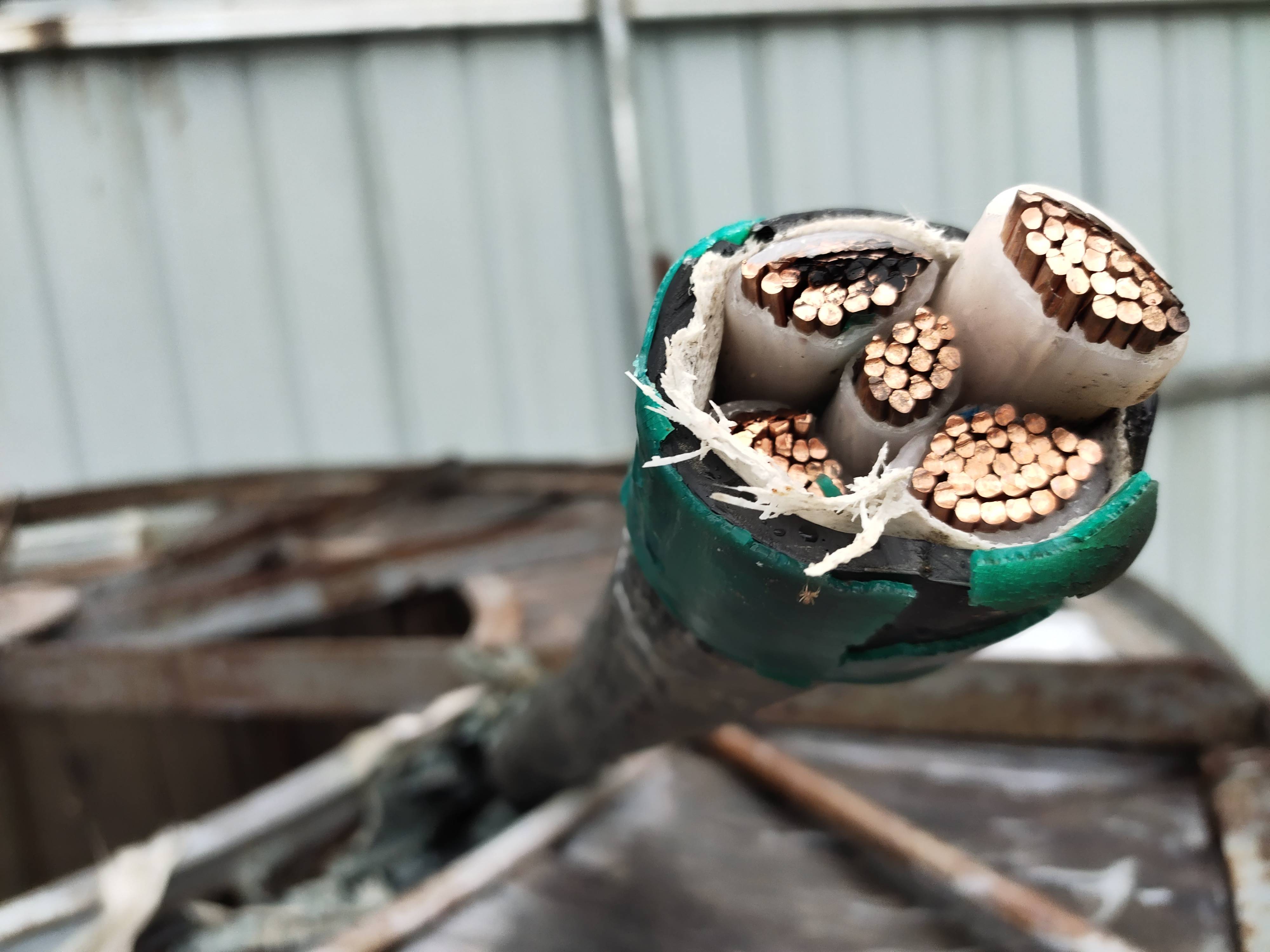 2024年9月24日现货白糖价格行情今日报价多少钱一吨