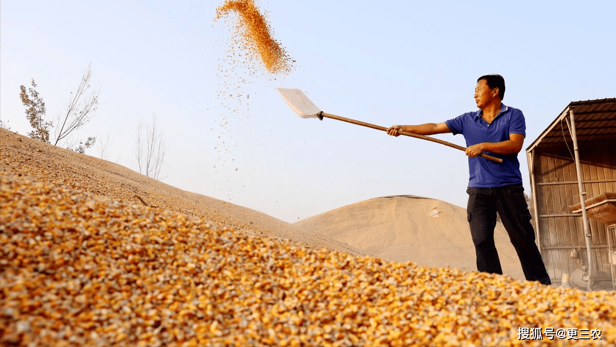 9月24日收盘玉米期货持仓较上日减持16267手