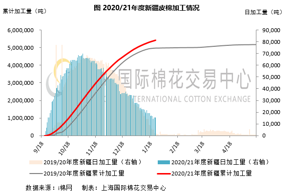 2024年9月24日今日皮棉价格最新行情消息