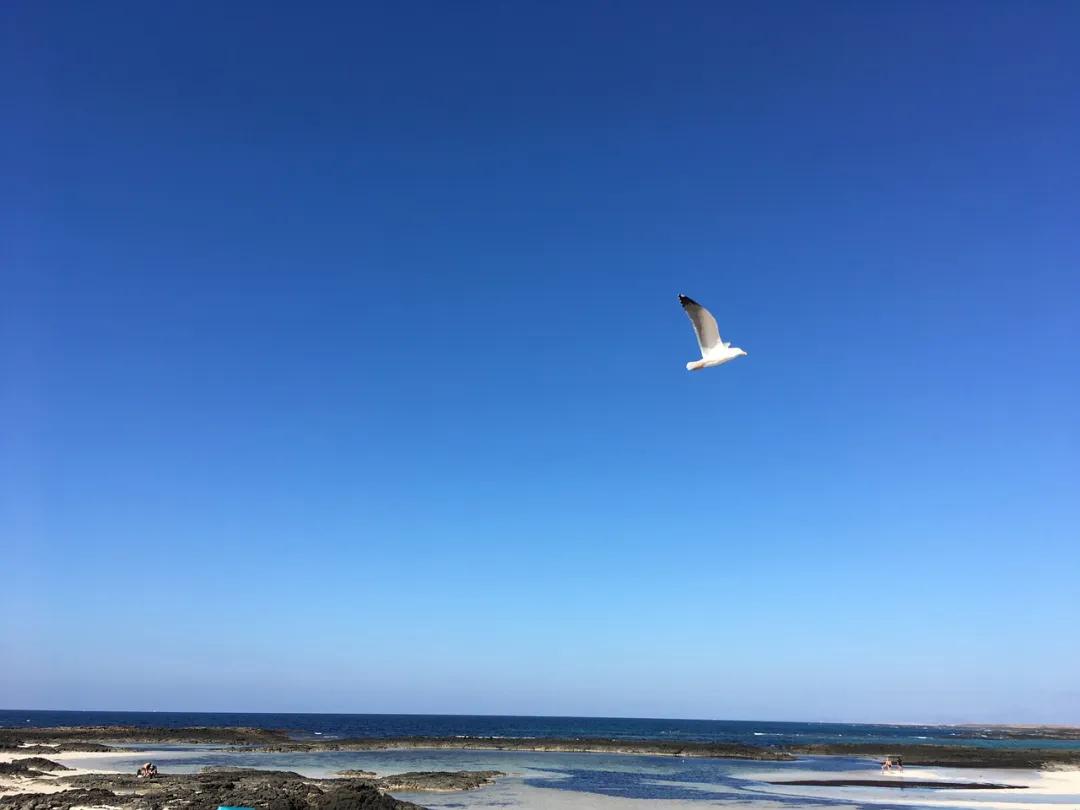 9月24日玉米期货持仓龙虎榜分析：多方离场情绪强于空方