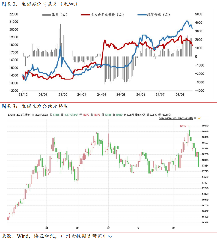 9月24日苹果期货持仓龙虎榜分析：苹果期货主力处于净空头状态