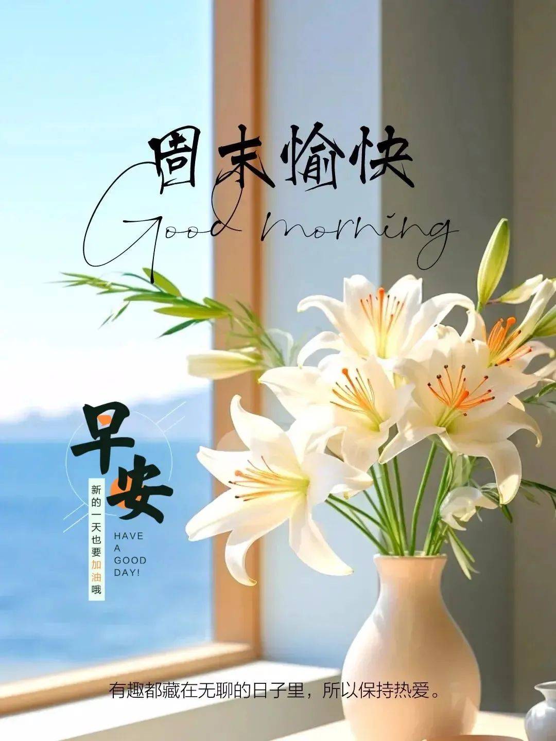 （2024年9月25日）今日焦煤期货最新价格行情查询