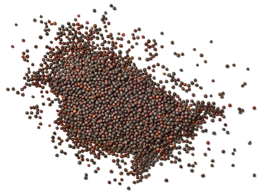 9月25日菜籽粕期货持仓龙虎榜分析：多方离场情绪强于空方