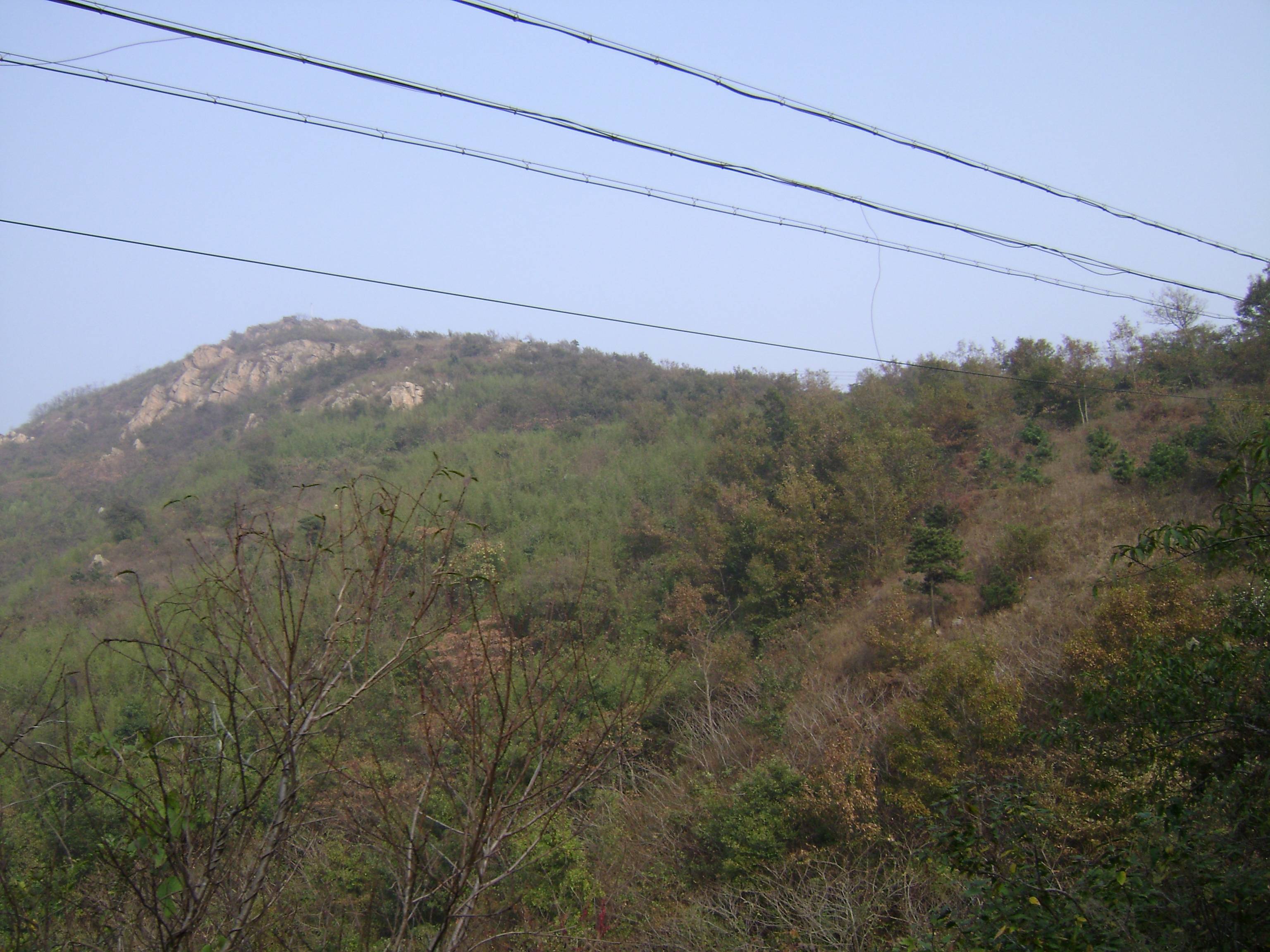 （2024年9月27日）白糖期货价格行情今日报价