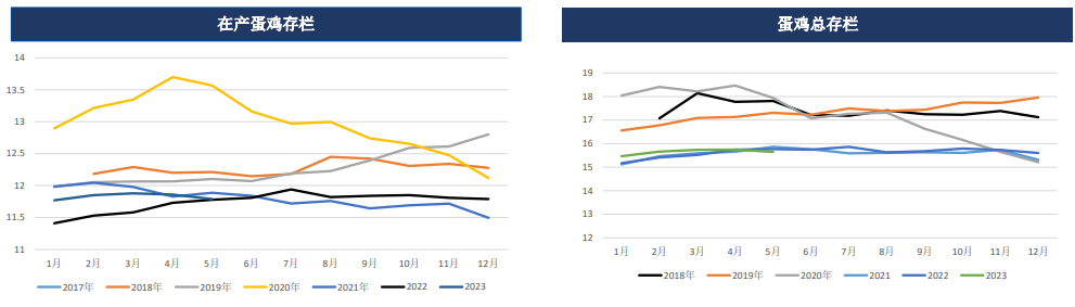 鸡蛋供应充足压力逐步增加 消费呈走弱态势