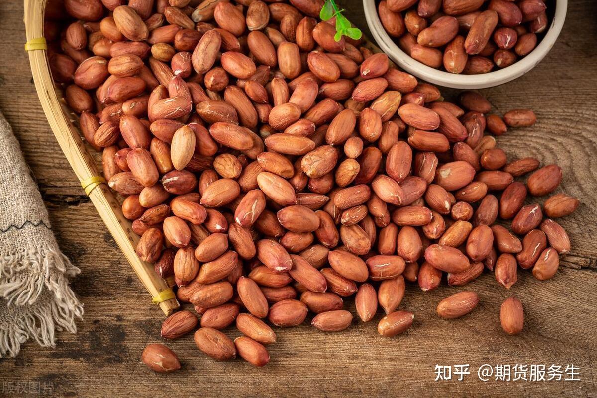 花生期货持仓龙虎榜分析：多方离场情绪强于空方