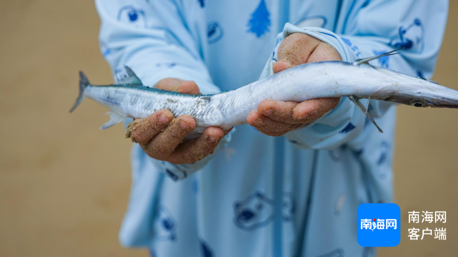 2024年9月30日溶剂油报价最新价格多少钱