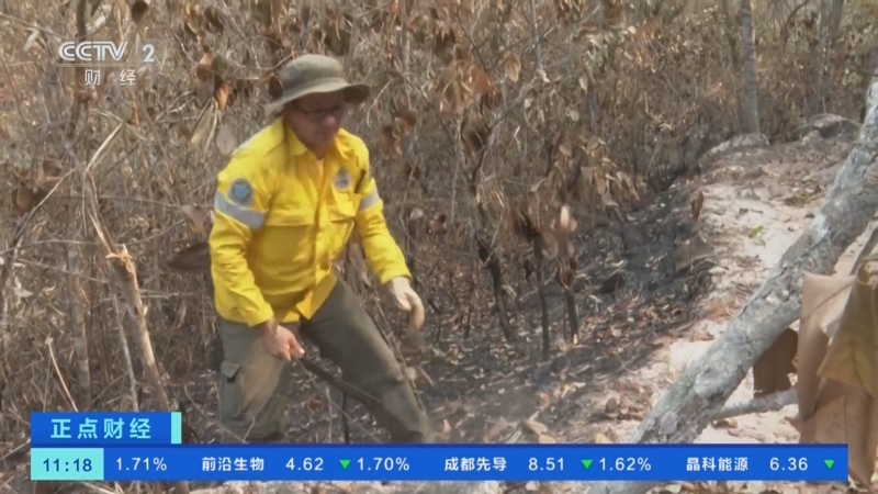 巴西火灾的影响显现 国内制糖成本提高利多糖价