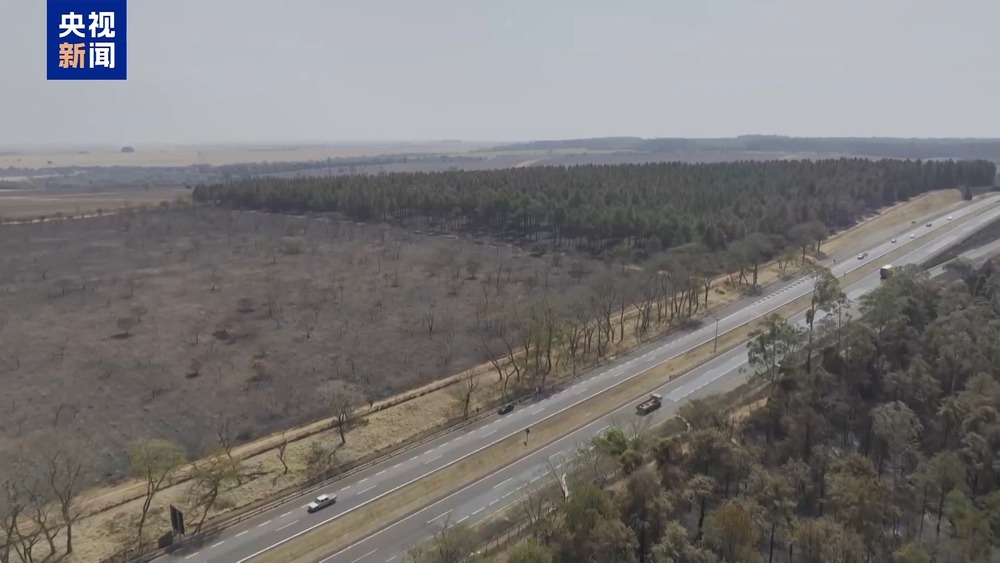 巴西火灾的影响显现 国内制糖成本提高利多糖价