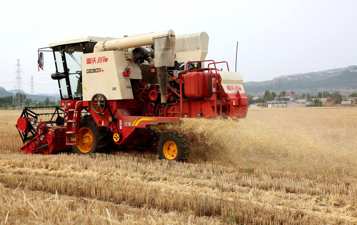 CBOT小麦期货价格震荡下行 哈萨克斯坦已收获小麦1730万吨