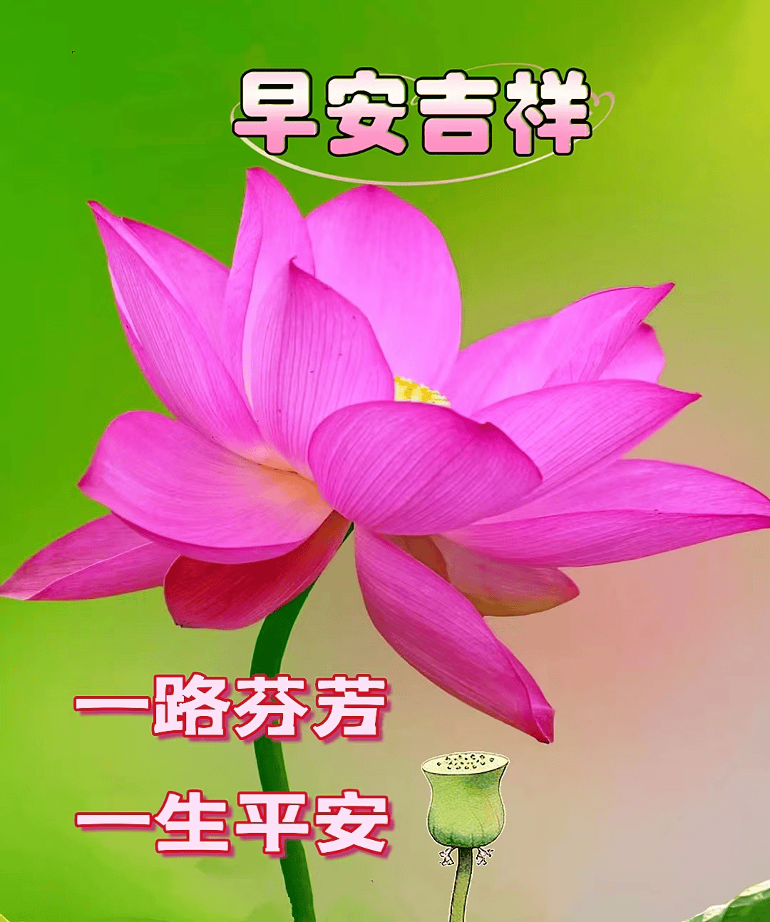 2024年10月6日今日不防水蜂窝活性炭价格最新行情走势