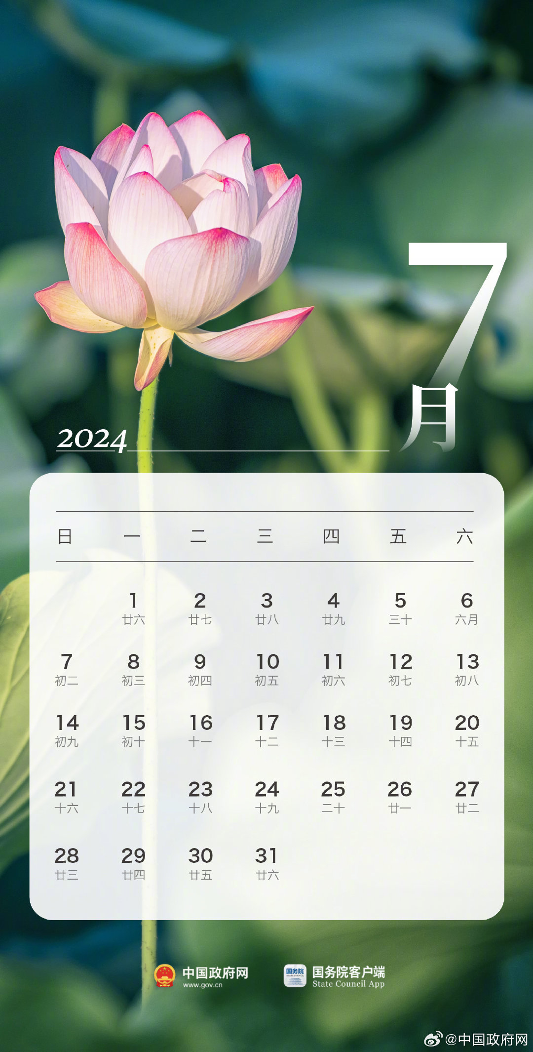 2024年10月7日木质粉末活性炭报价最新价格多少钱