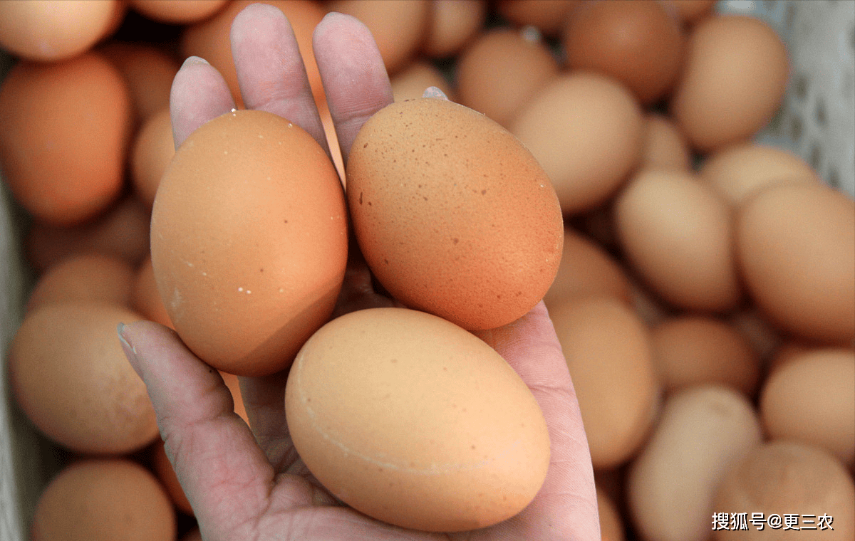 鸡蛋价格重心或将在盘整后下移 市场消费转弱