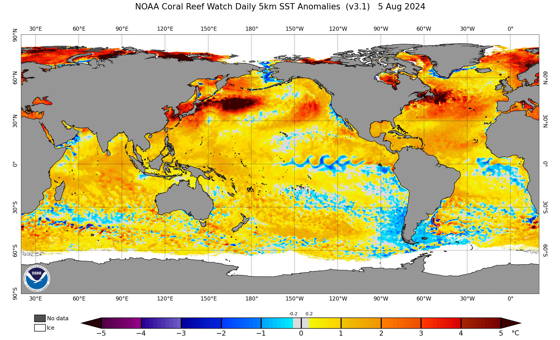 2024年10月8日木质粉末活性炭价格行情最新价格查询