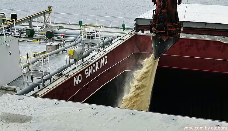 10月8日收盘豆油期货持仓较上日增持14858手