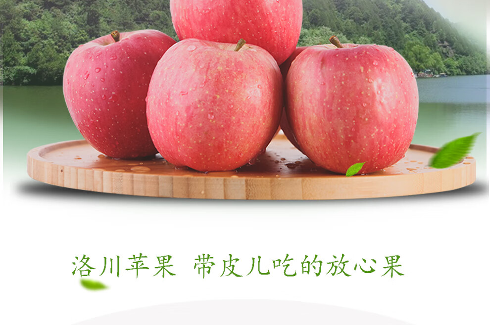 新季晚富士上市逐渐增多 节后苹果价格相对走弱