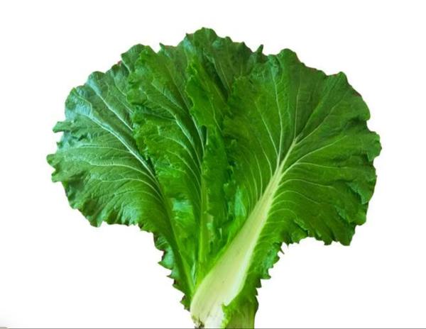 2024年10月9日石油醚价格行情今日报价查询