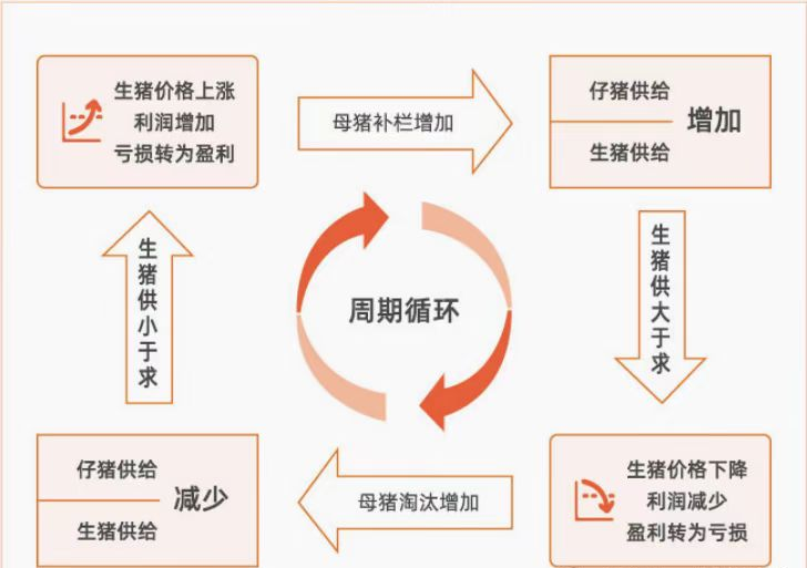 （2024年10月11日）今日生猪期货最新价格查询