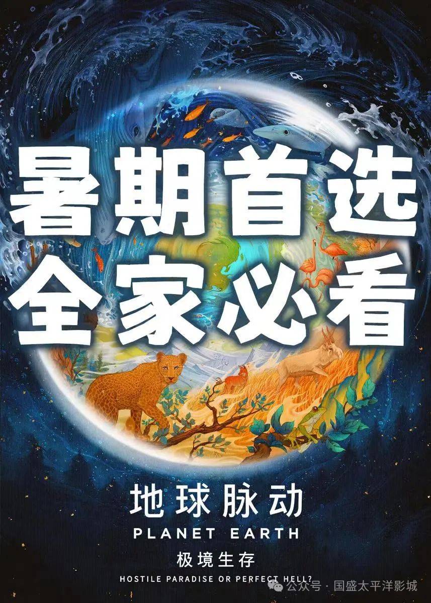 2024年10月13日溶剂油价格行情最新价格查询
