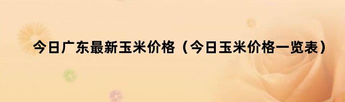 （2024年10月15日）今日玉米期货和美玉米最新价格查询