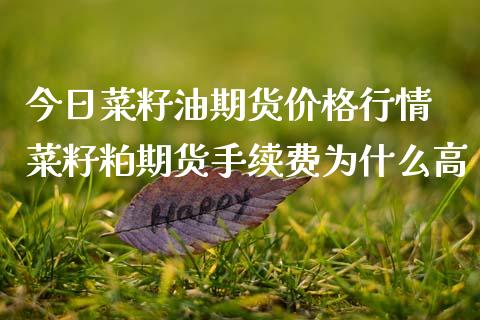 10月15日菜籽粕期货持仓龙虎榜分析：菜籽粕期货主力处于净空头状态