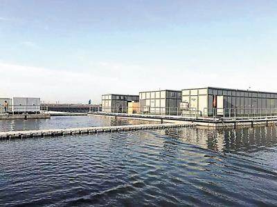 焦煤期货10月16日主力大幅下跌3.54% 收报1432.0元