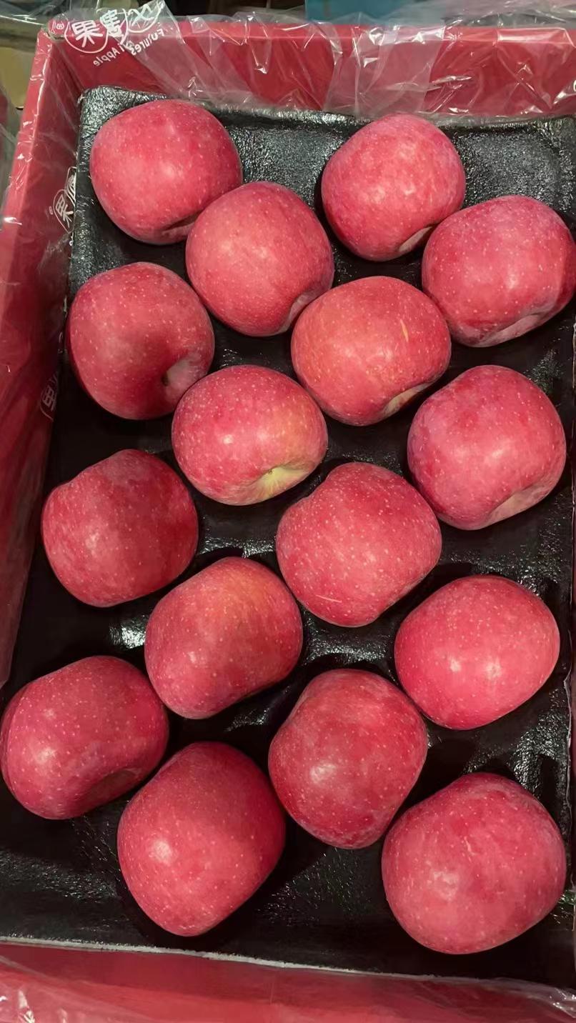 10月16日苹果期货持仓龙虎榜分析：空方进场情绪强于多方