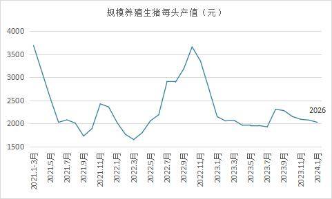 （2024年10月17日）今日生猪期货最新价格查询