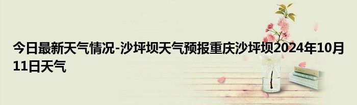 2024年10月17日今日喷吹煤价格最新行情消息