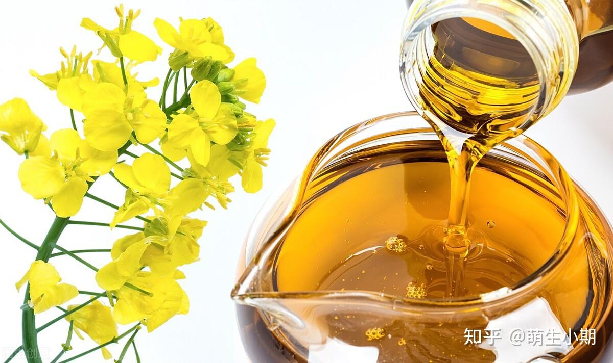 10月17日菜籽油期货持仓龙虎榜分析：多空双方均呈离场态势