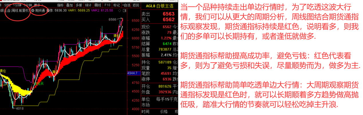 10月18日燃料油期货持仓龙虎榜分析：国泰君安期货增仓3493手空单