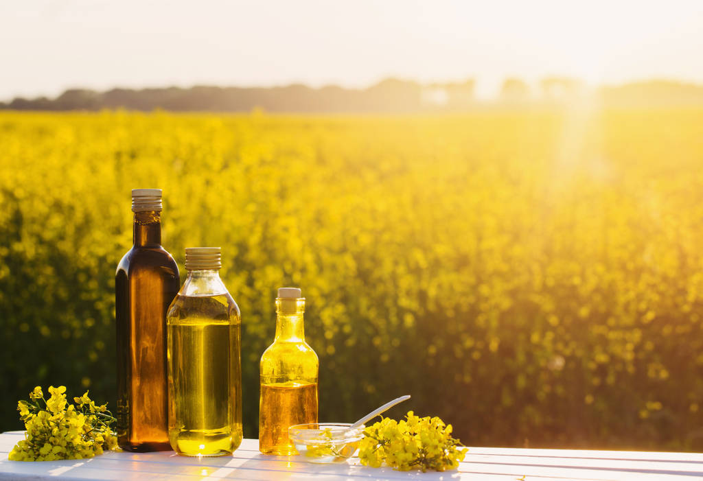 10月21日菜籽油期货持仓龙虎榜分析:菜籽油期货主力处于净多头状态