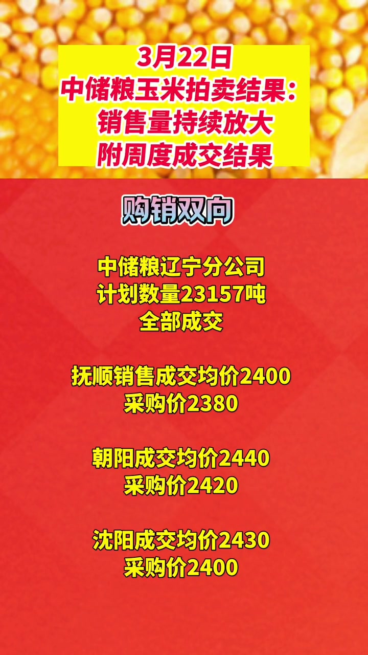 （2024年10月22日）今日玉米期货和美玉米最新价格查询