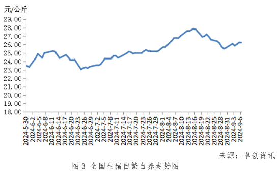 （2024年10月24日）今日玉米期货和美玉米最新价格查询