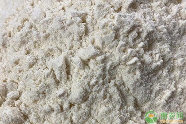 2024年10月24日今日工业面粉价格最新行情走势