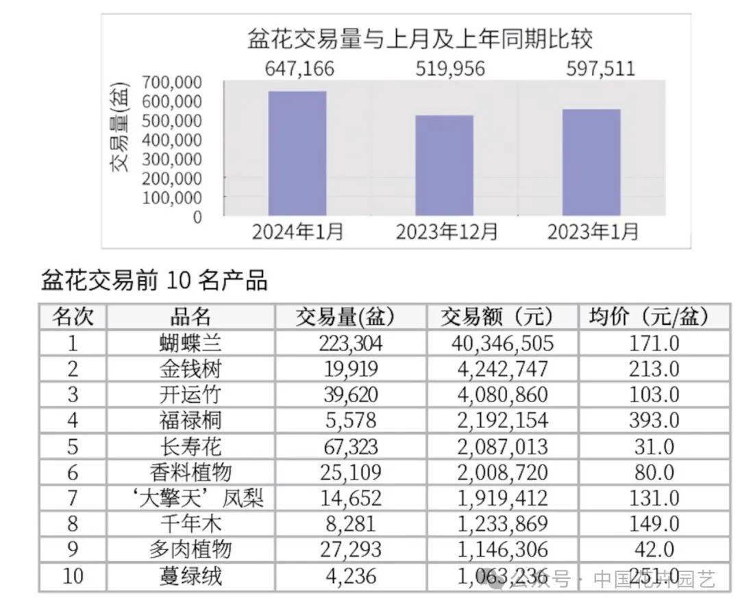 2024年11月27日玉米淀粉价格行情今日报价查询